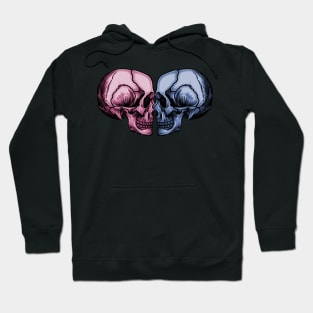 The Death of Gender Roles Hoodie